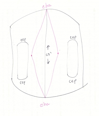 energy developed in the depths through the Triune God
